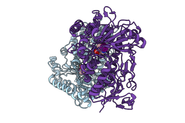 9LMJ image