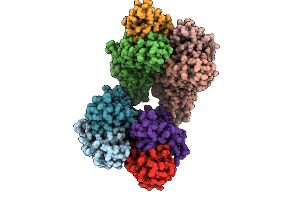 9LMR image