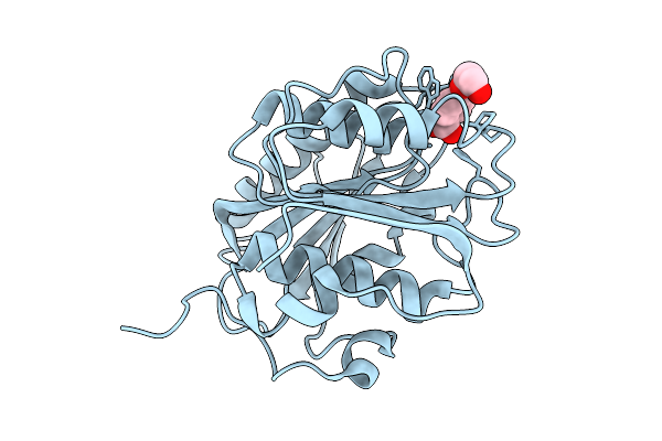9LMV image