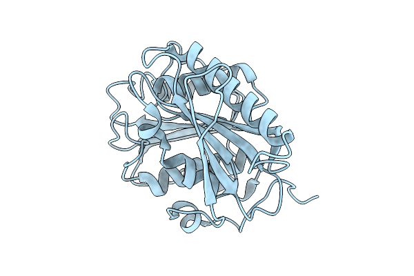 9LMW image