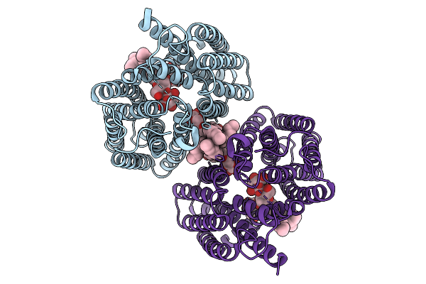 9LNB image