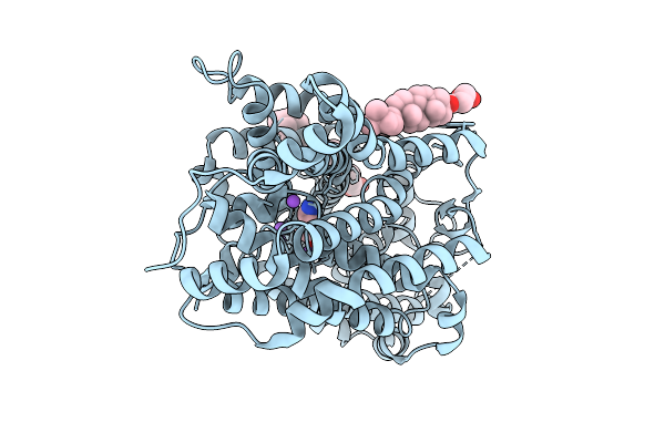 9LNM image