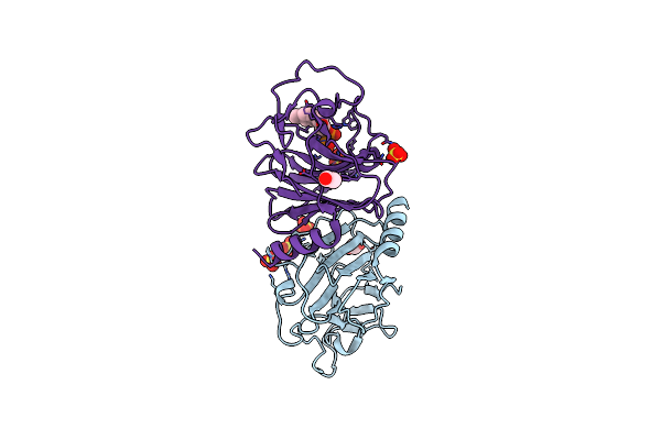 9LNZ image