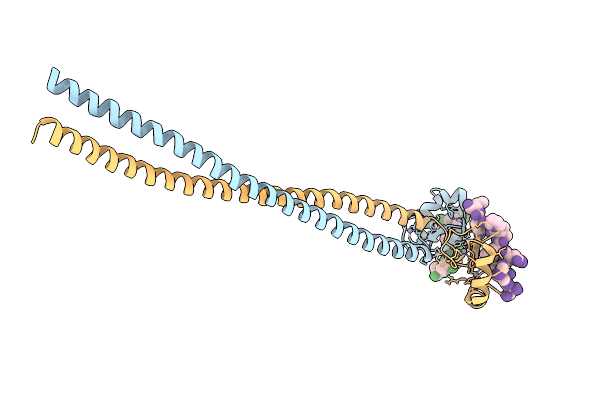 9LP4 image