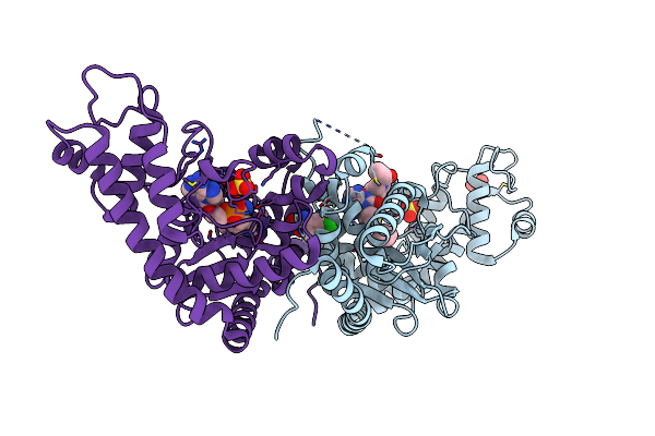 9LPD image