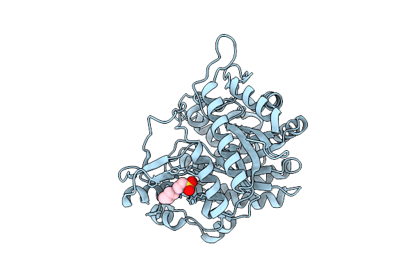 9LPH image