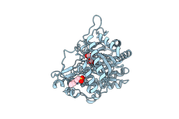 9LPI image
