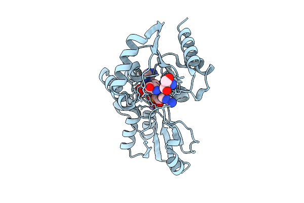 9LQA image