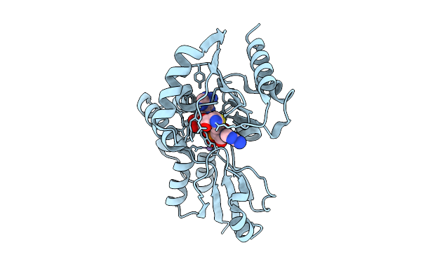 9LQB image