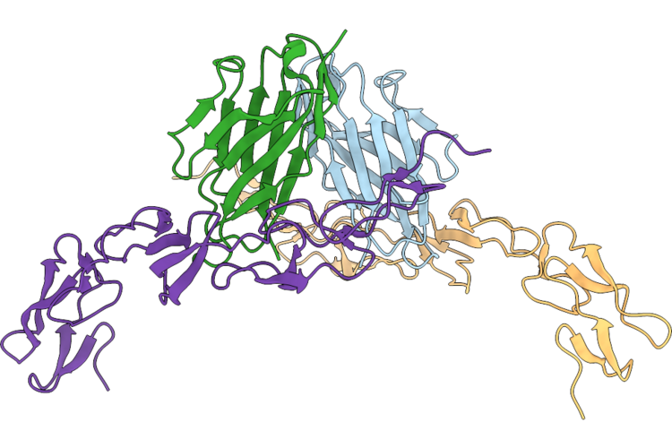 9LQI image