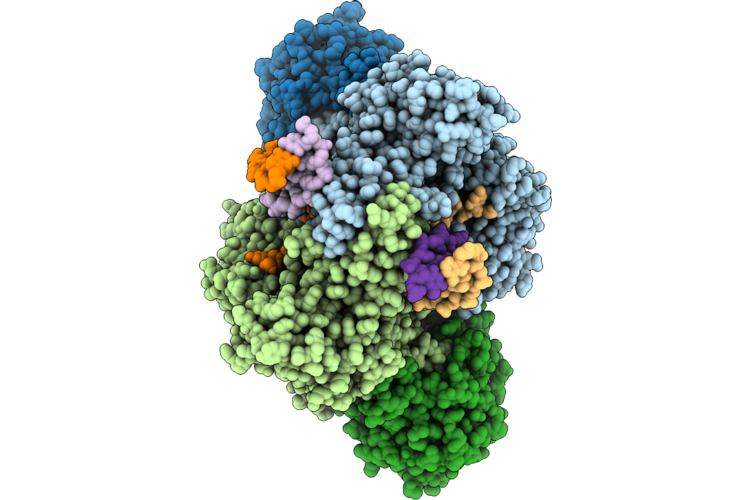 9LQV image