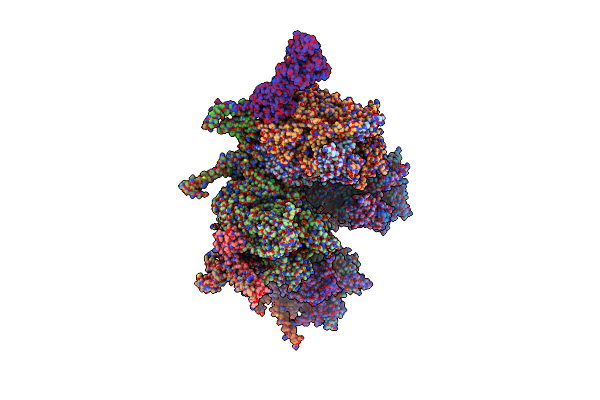 9LR9 image