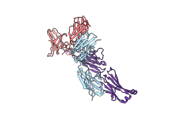 9LRF image