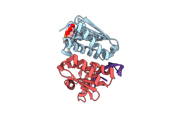 9LRI image