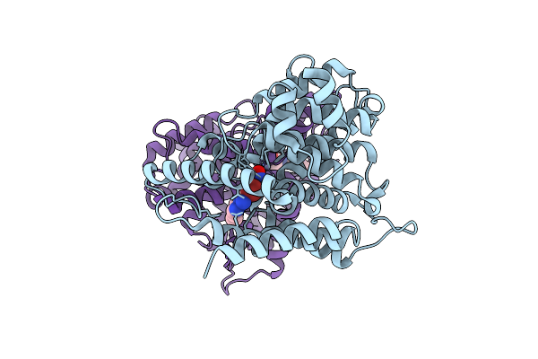 9LRP image