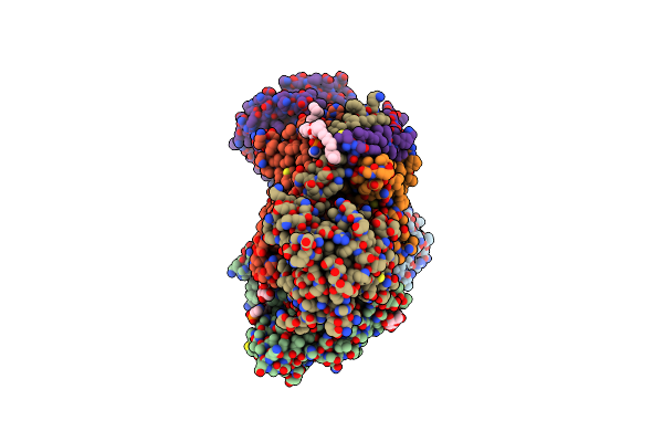 9LRR image
