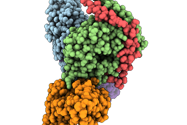 9LRS image