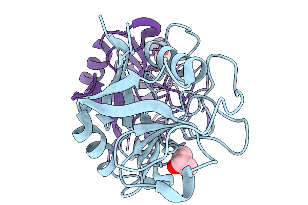 9LS5 image