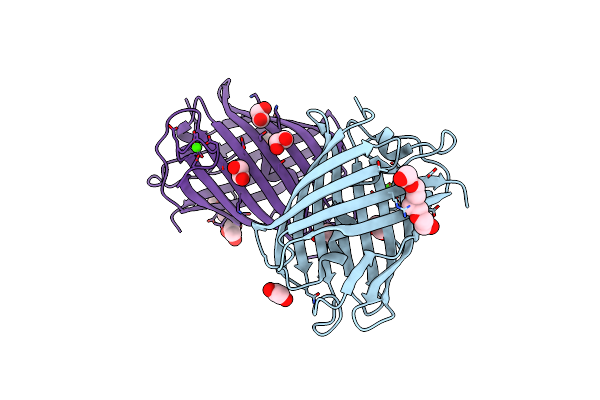 9LSA image