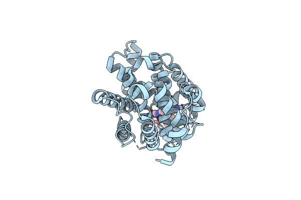 9LSL image