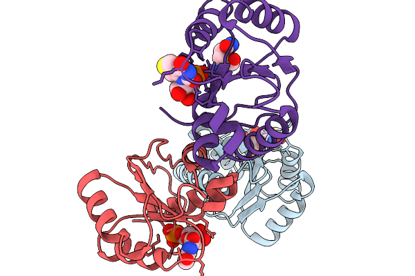 9LSO image