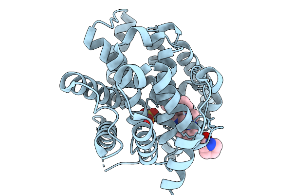 9LSS image