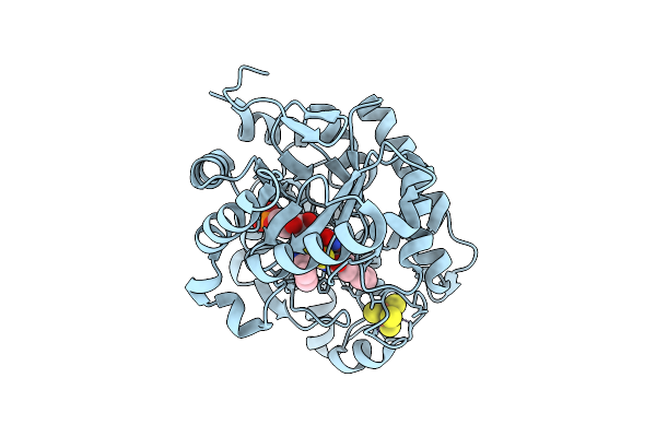 9LT6 image