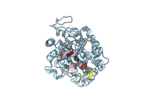 9LT8 image