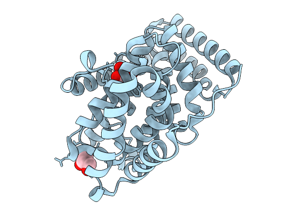 9LT9 image