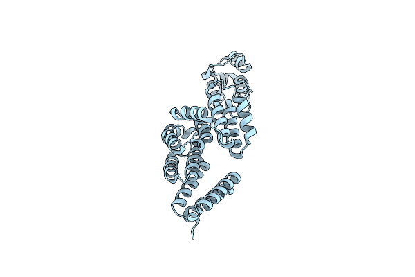 9LTH image