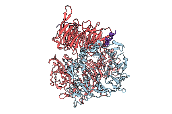 9LTJ image