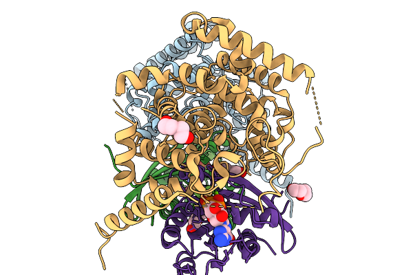 9LTP image