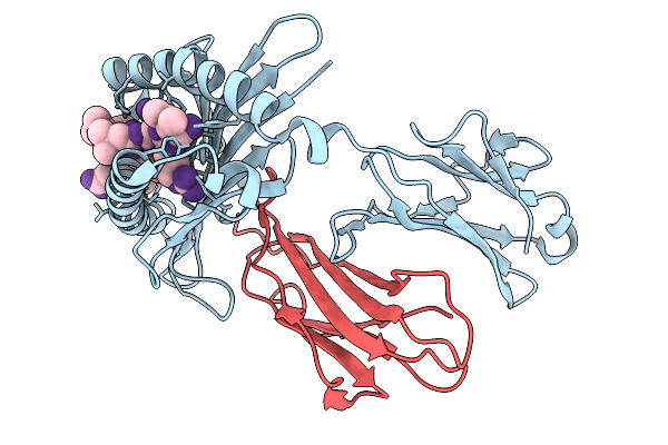 9LUD image