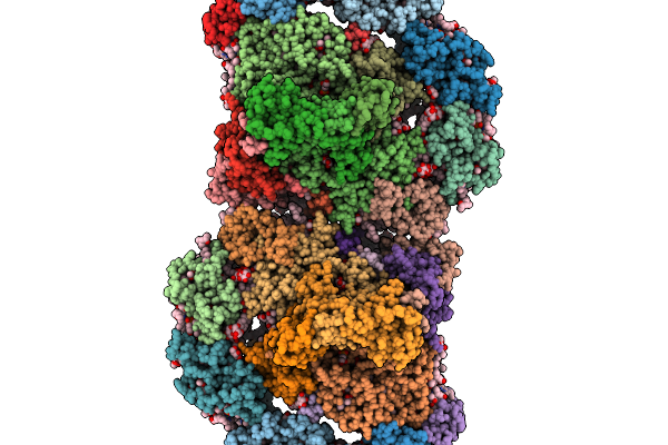 9LUU image