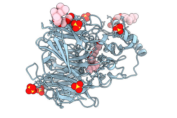 9LUZ image