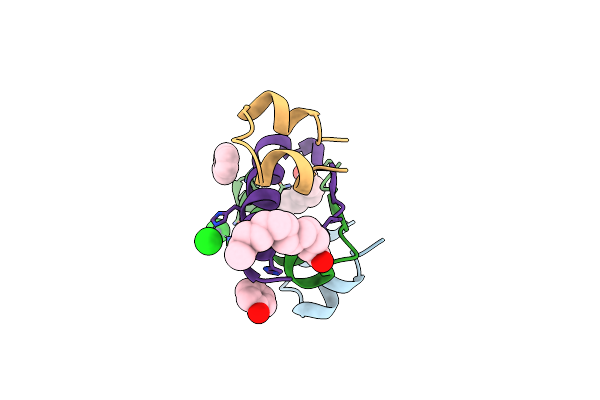 9LVE image