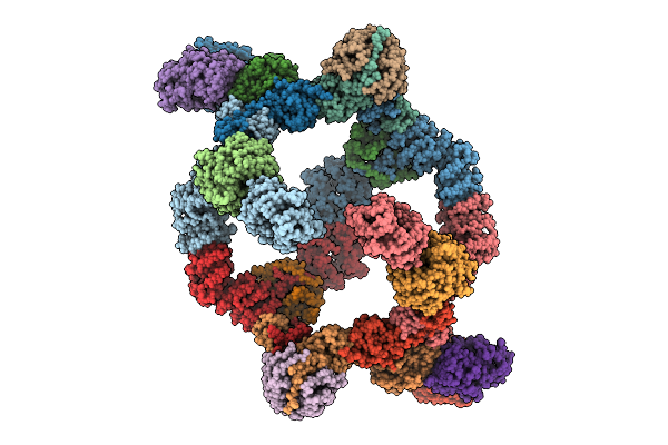 9LVJ image