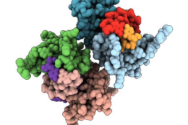 9LVP image