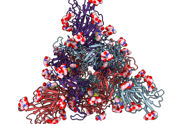 9LVS image