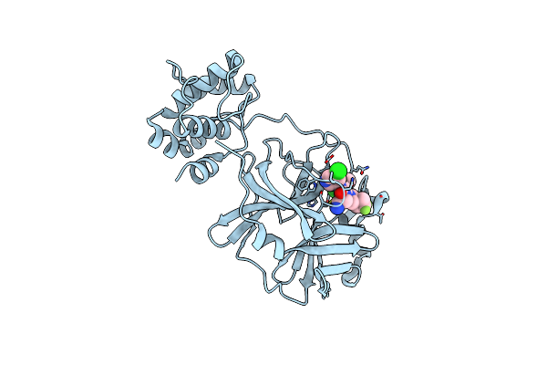9LVV image