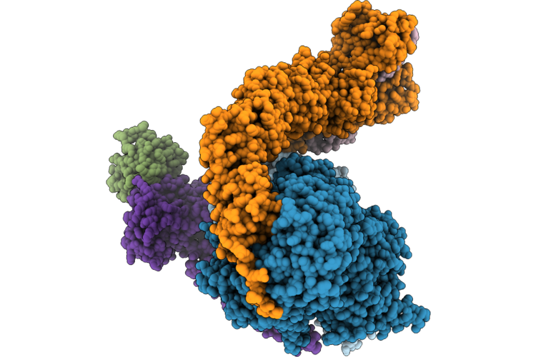 9LWI image