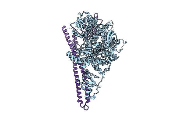 9LWS image