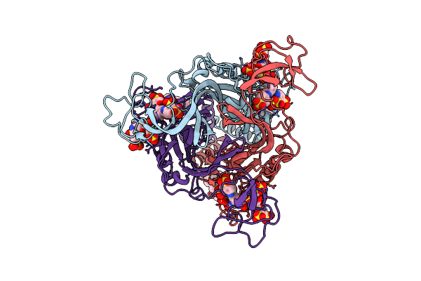 9LXC image