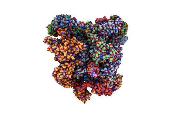 9LXO image