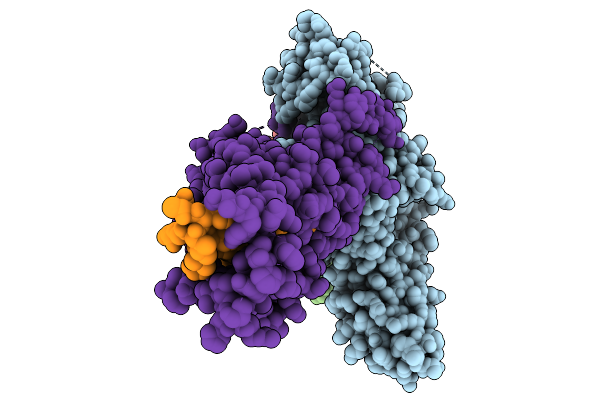 9LXP image
