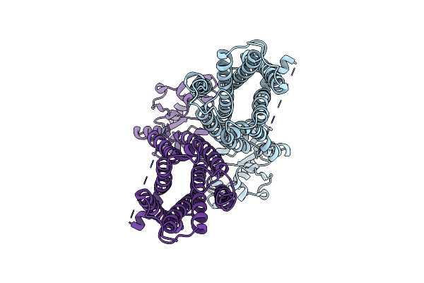9LYD image