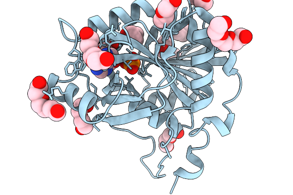9LYE image