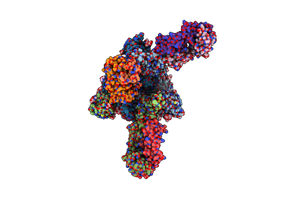 9LYO image