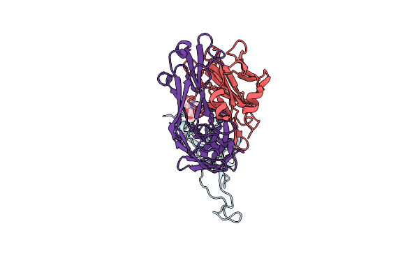 9LYP image