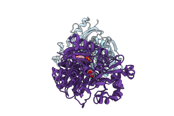 9LYU image